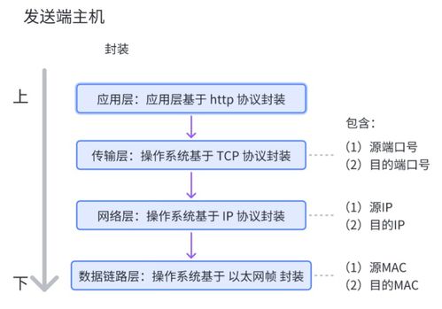 網絡通信基石 核心設備、關鍵技術及技術服務全景解析